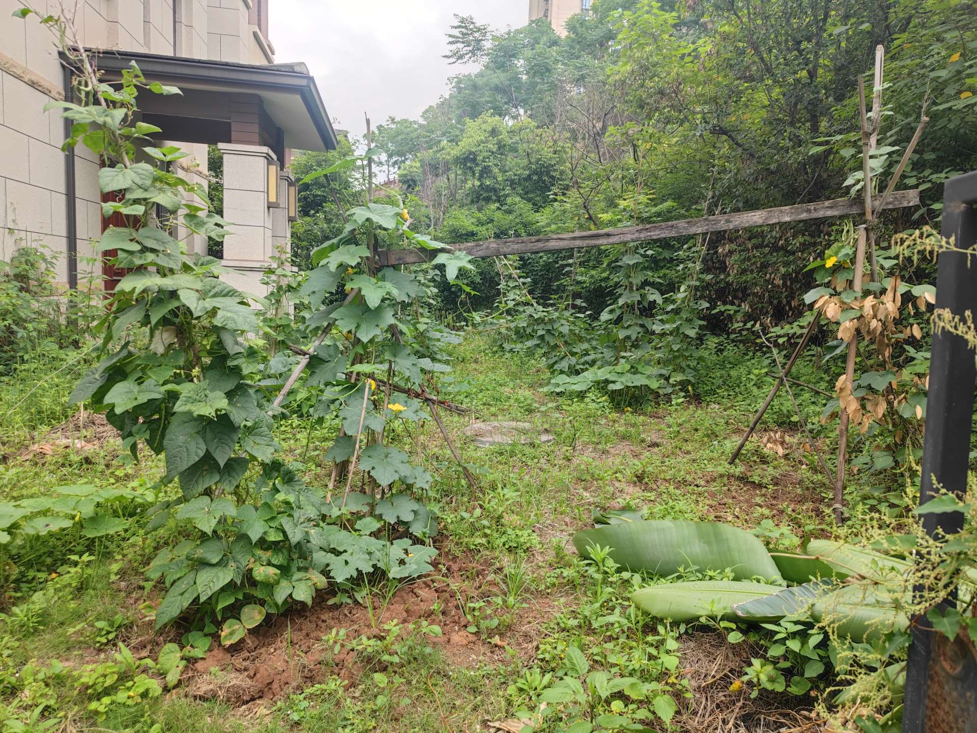 240514_恒大悦府_无标签_20260604095001